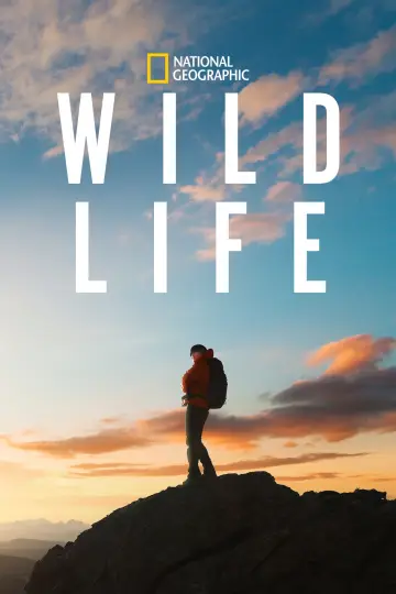 Постер до фільму "Wild Life" #1649517