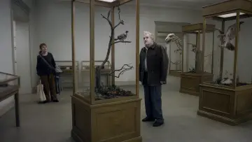 Задник до фильму"Сидів голуб на гілці, міркуючи про буття" #506418