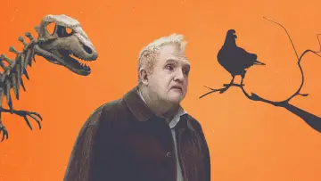 Задник до фильму"Сидів голуб на гілці, міркуючи про буття" #994374
