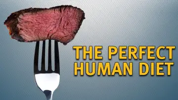 Задник до фильму"The Perfect Human Diet" #397584