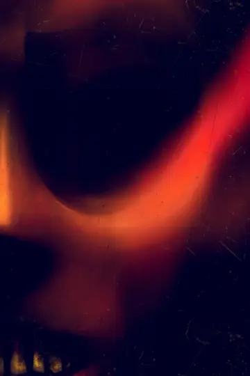 Постер до фильму"Don