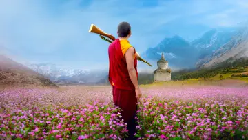 Задник до фильму"The Monk and the Gun" #430725