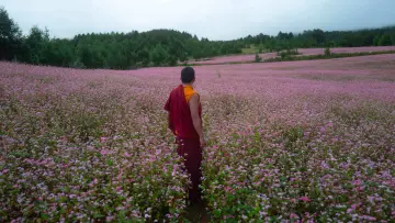 Задник до фильму"The Monk and the Gun" #758203