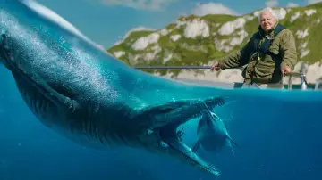Задник до фильму"Attenborough and the Giant Sea Monster" #747484
