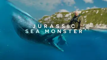 Задник до фильму"Attenborough and the Giant Sea Monster" #984092