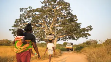 Задник до фильму"Territorio Africano 2" #420654