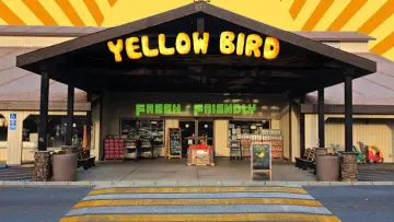 Задник до фильму"Yellow Bird" #743579