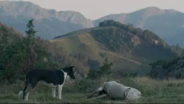 Задник до фильму"The Shepherd and the Bear" #927000