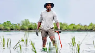 Задник до фильму"Shark Beach with Anthony Mackie" #876509