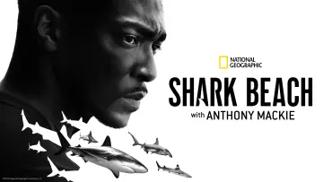 Задник до фильму"Shark Beach with Anthony Mackie" #876515
