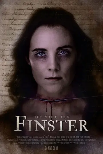 Постер до фильму"The Notorious Finster" #1119240