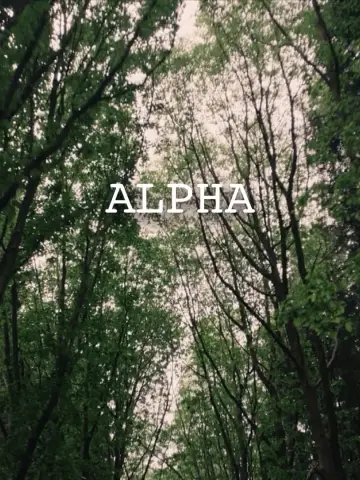 Альфа постер