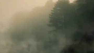 Задник до фільму "Devil in the Ozarks" #1628244