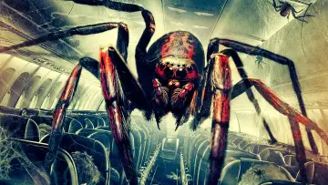 Задник до фильму"Spiders on a Plane" #1121161