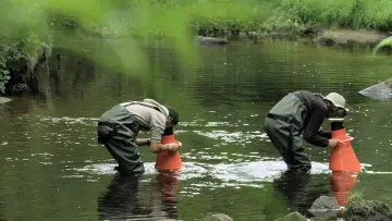 Задник до фільму "La Rivière" #1635821