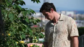 Задник до фильму"Обрізка троянд" #952561
