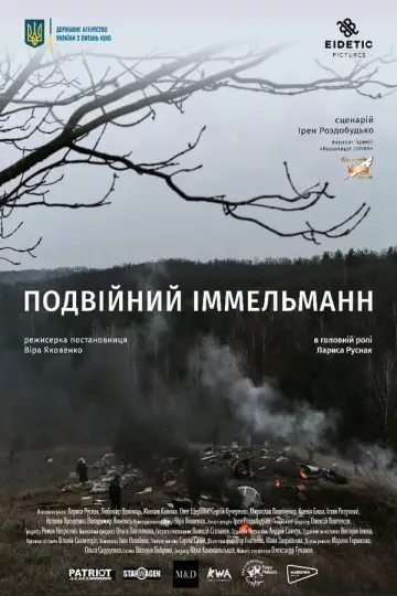 Подвійний іммельманн постер