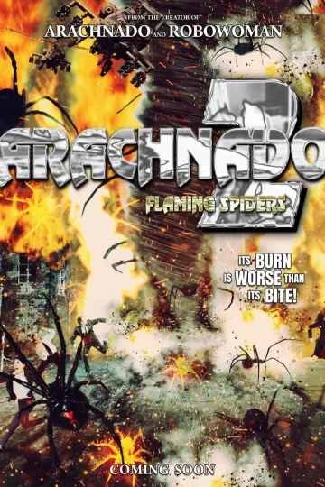 Постер до фильму"Arachnado 2: Flaming Spiders" #1190827