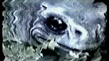 Задник до фильму"Frogman" #706857