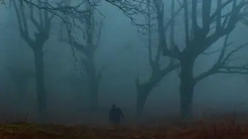 Задник до фільму "Negu hurbilak" #193194