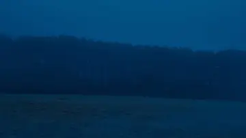 Задник до фільму "Зла не існує" #1385644