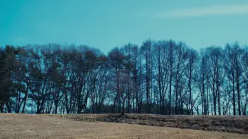Задник до фильму"Зла не існує" #504024