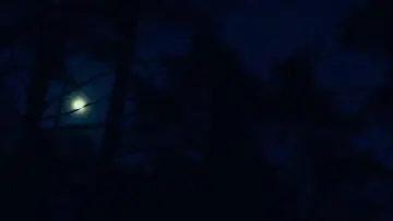 Задник до фильму"Зла не існує" #756355