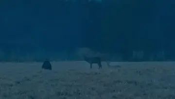 Задник до фильму"Зла не існує" #756361