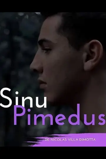 Sinu Pimedus постер