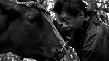 Задник до фільму "黒の牛" #543240