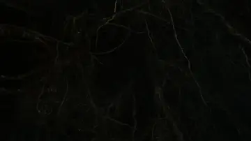 Задник до фільму "Безмовна подруга" #816433
