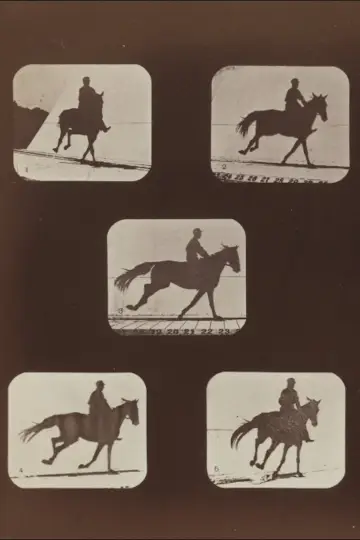 Постер до фильму"The Horse in Action" #982814
