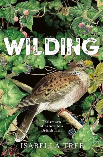 Постер до фильму"Wilding" #1115511