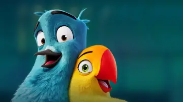 Lovebirds постер