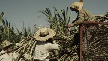Задник до фильму"Érase una vez en el Caribe" #1121178