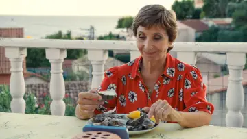 Задник до фільму "La Pie voleuse" #645753