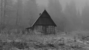 Задник до фільму "Роза" #1652076