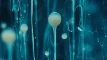 Задник до фильму"SPERMWORLD" #443192