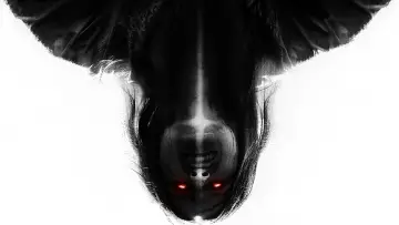 Задник до фильму"The Exorcists" #413376