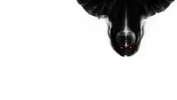 Задник до фильму"The Exorcists" #413379