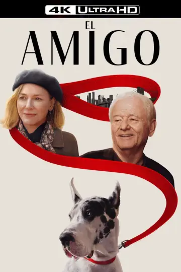 Постер до фильму"Друг" #589149
