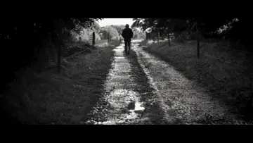 Задник до фільму "The Days of Trees" #450911