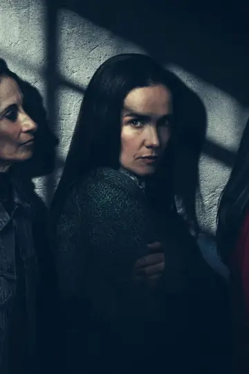 Постер до фильму"La mujer de la fila" #699710