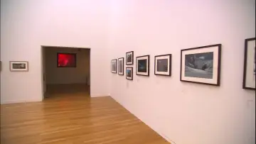 Задник до фильму"ジブリの絵職人 男鹿和雄展 トトロの森を描いた人" #1058194