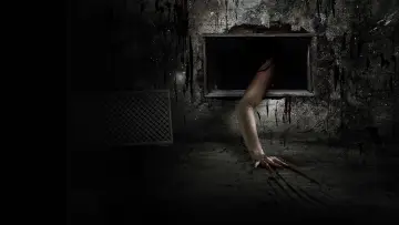 Задник до фільму "The Seasoning House" #1511542
