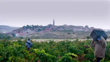 Задник до фільму "Rioja, la tierra de los mil vinos" #1644378