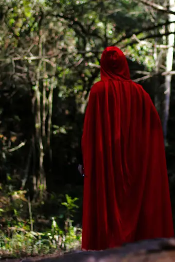 Постер до фильму"RED WARRIOR" #413448