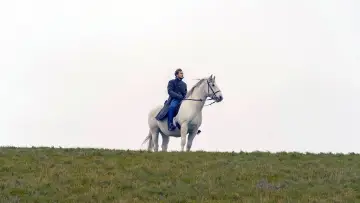 Задник до фільму "Der Schimmelreiter" #1652313