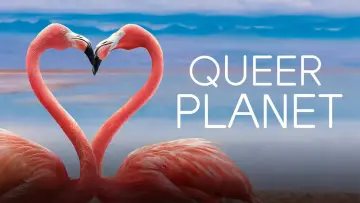 Задник до фильму"Queer Planet" #1122479