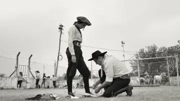 Задник до фильму"Gaucho Gaucho" #353634